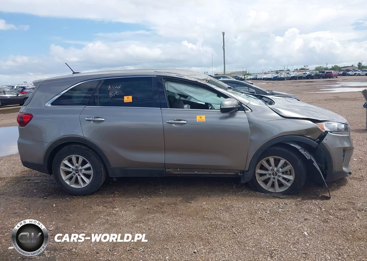 2019 Kia Sorento 2.4L Lx VIN:5XYPG4A34KG544508 - 13