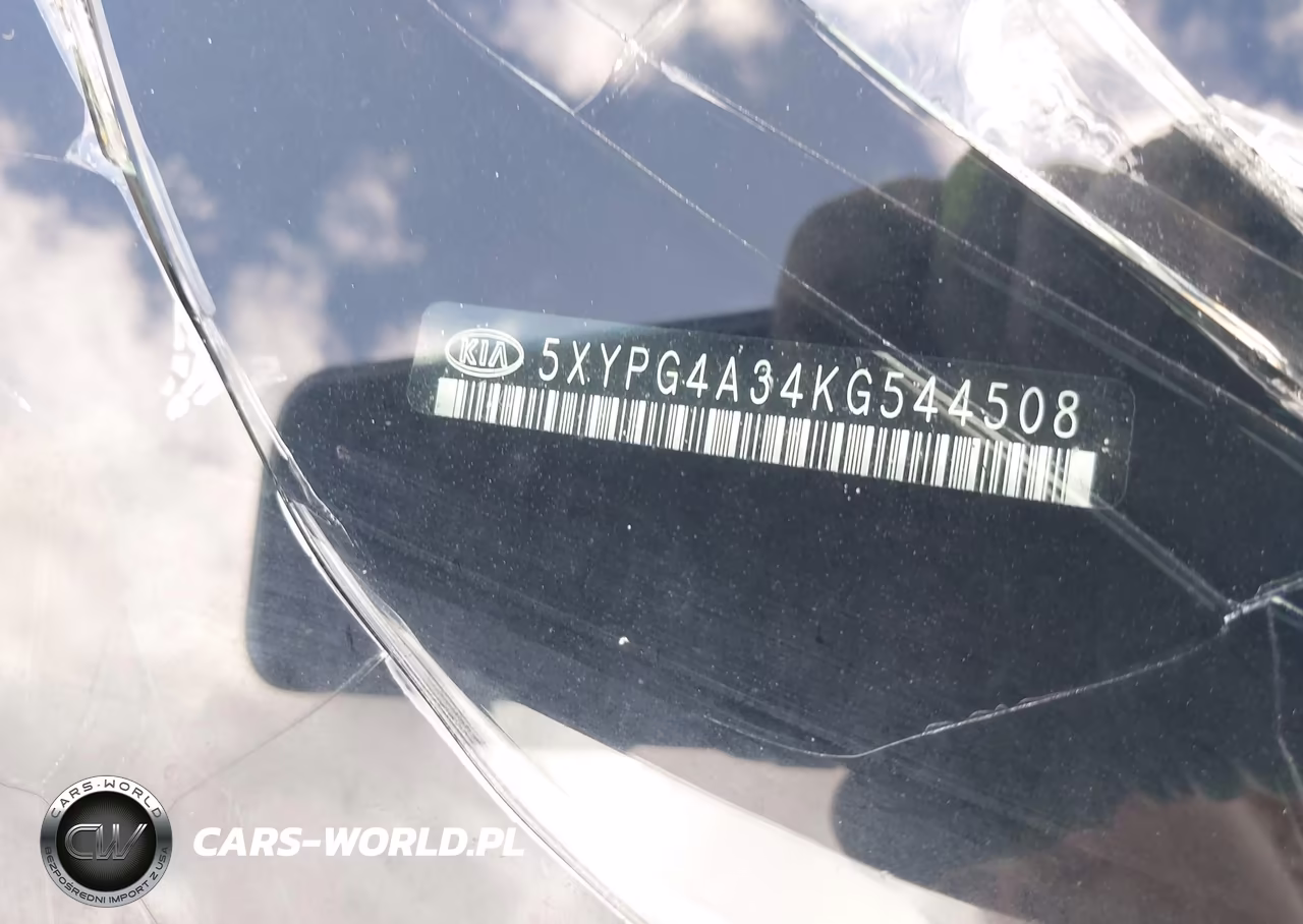 2019 Kia Sorento 2.4L Lx VIN:5XYPG4A34KG544508 - 9