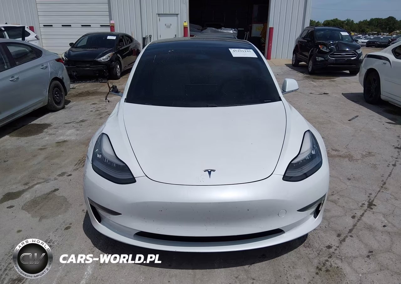 2019 Tesla Model 3 Long Range-Performance VIN:5YJ3E1EB0KF494640 - 11