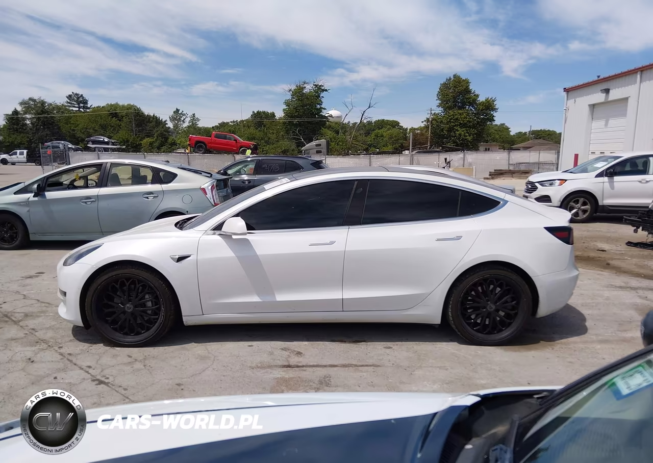 2019 Tesla Model 3 Long Range-Performance VIN:5YJ3E1EB0KF494640 - 13