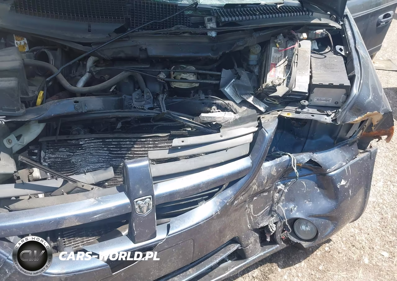 2007 Dodge Grand Caravan Sxt VIN:2D4GP44L47R276724 - 10