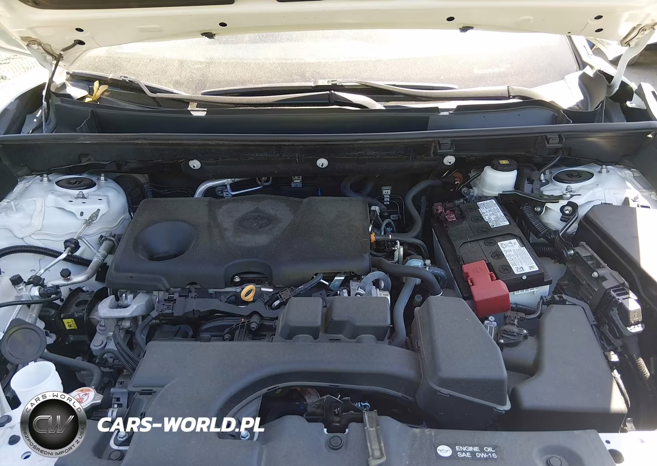 2024 Toyota Rav4 Xle VIN:2T3W1RFV2RW319665 - 10