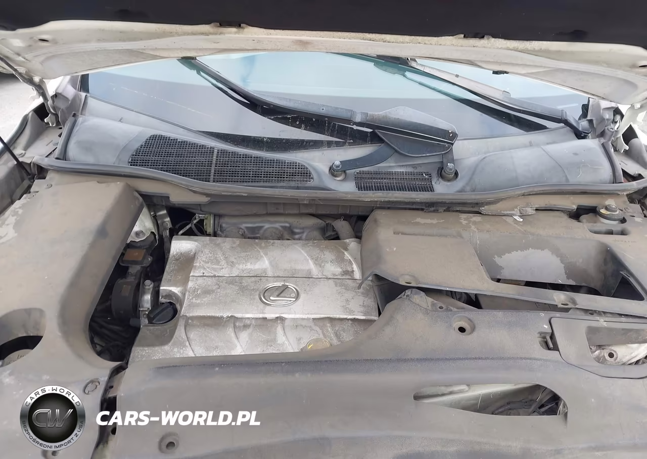 2010 Lexus Rx 350 VIN:JTJZK1BA2A2400481 - 10