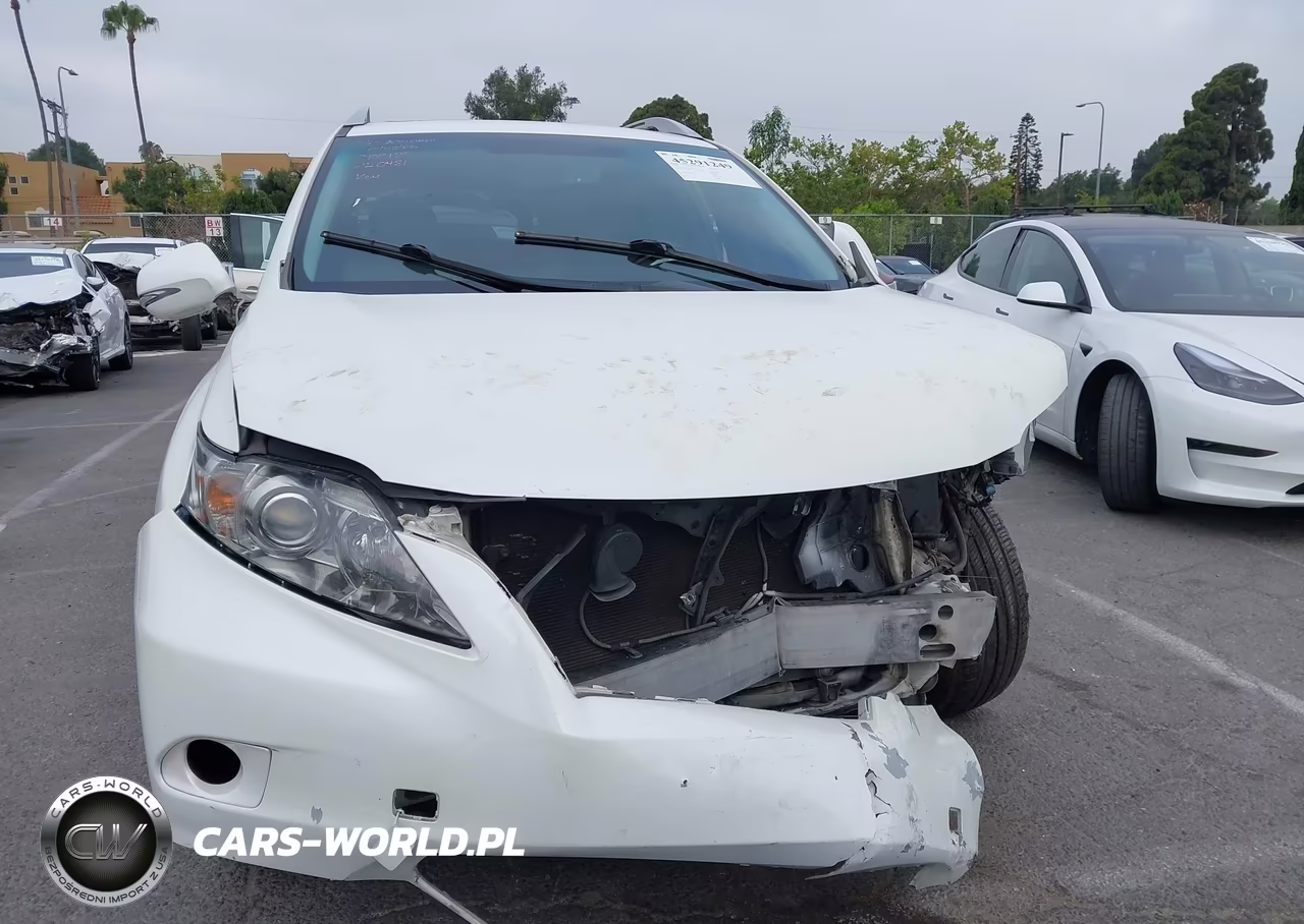 2010 Lexus Rx 350 VIN:JTJZK1BA2A2400481 - 12