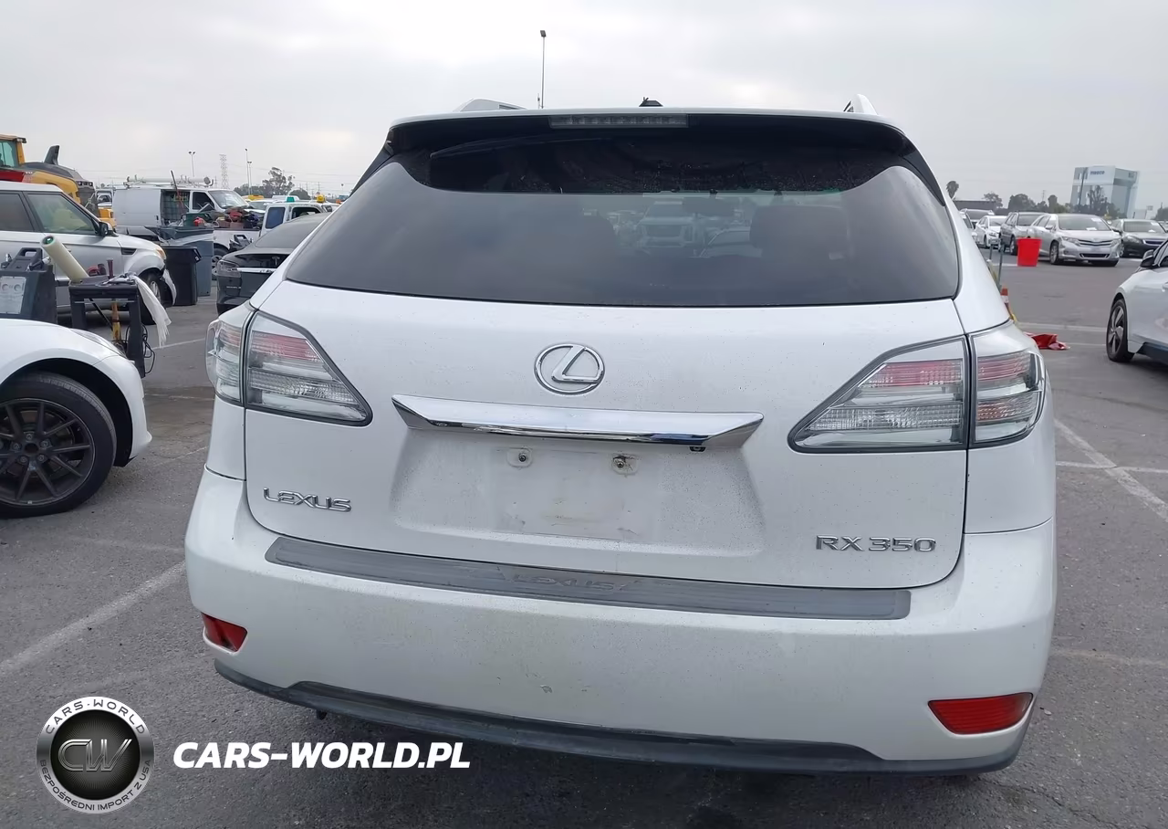 2010 Lexus Rx 350 VIN:JTJZK1BA2A2400481 - 16