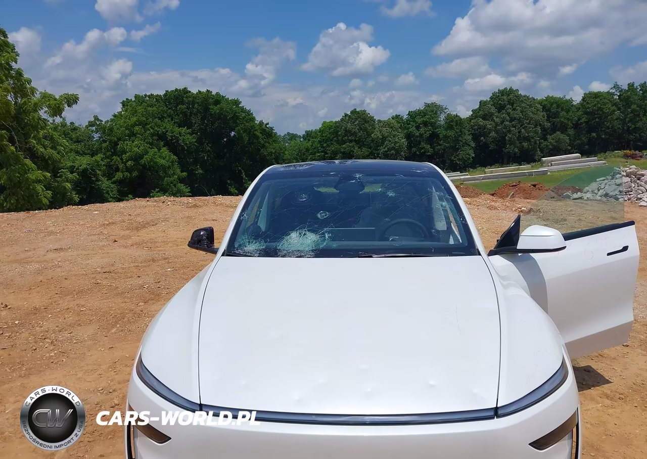 2026 Tesla Model Y Premium Rear-Wheel Drive-Rear-Wheel Drive VIN:7SAYGDED9TF423234 - 10