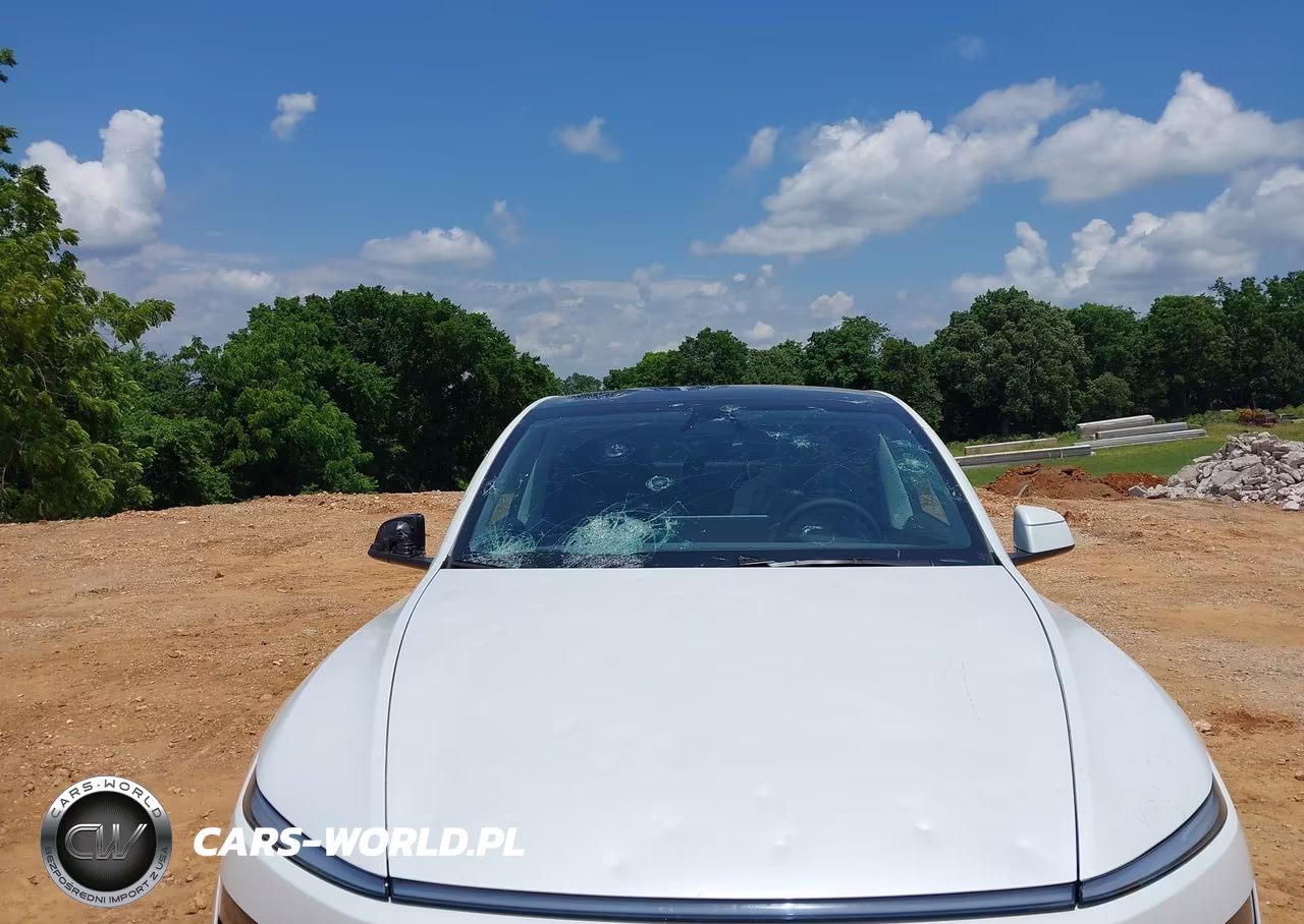 2026 Tesla Model Y Premium Rear-Wheel Drive-Rear-Wheel Drive VIN:7SAYGDED9TF423234 - 6