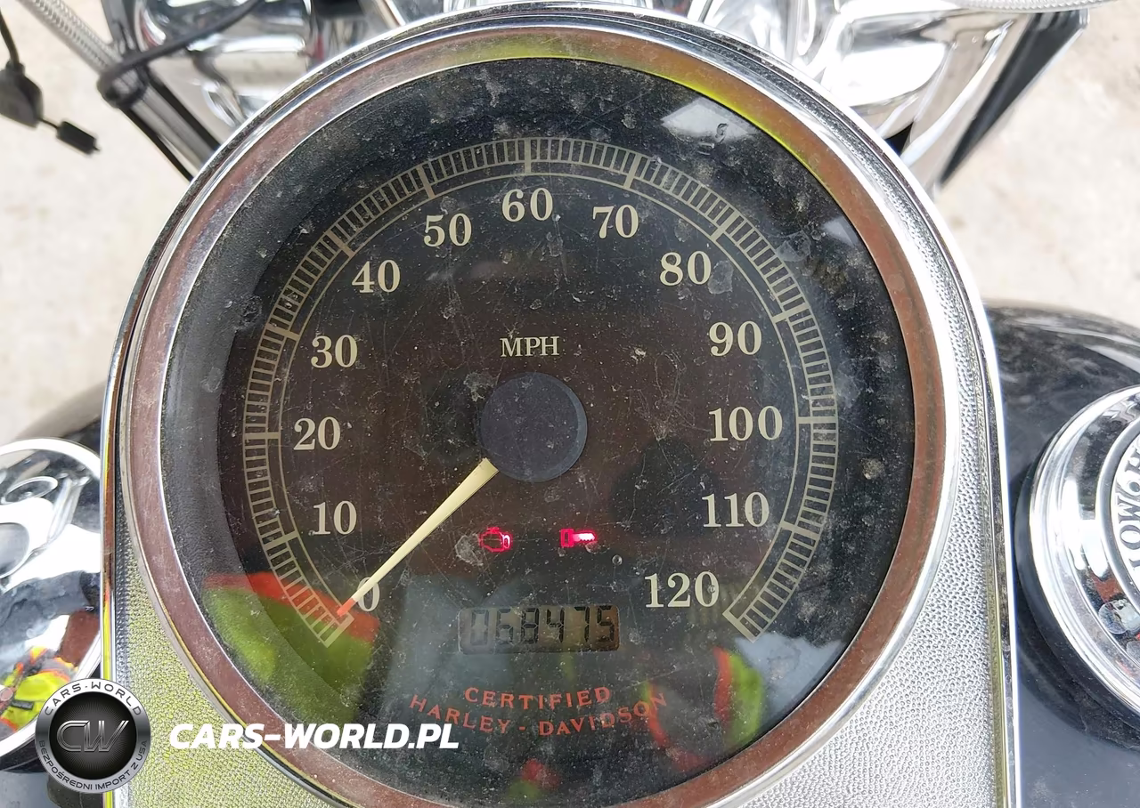 2003 Harley-Davidson Flhrci Anniversary VIN:1HD1FRW433Y728028 - 7