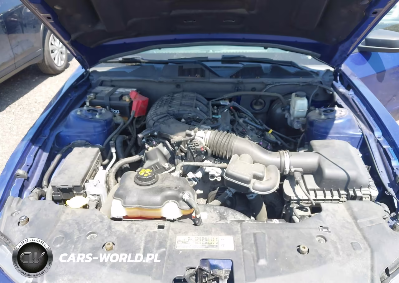 2014 Ford Mustang V6 VIN:1ZVBP8AM0E5319779 - 10