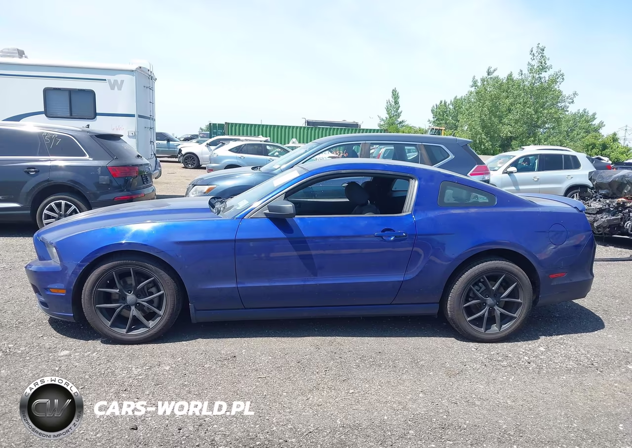 2014 Ford Mustang V6 VIN:1ZVBP8AM0E5319779 - 14