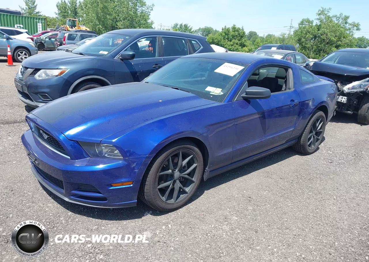 2014 Ford Mustang V6 VIN:1ZVBP8AM0E5319779 - 2