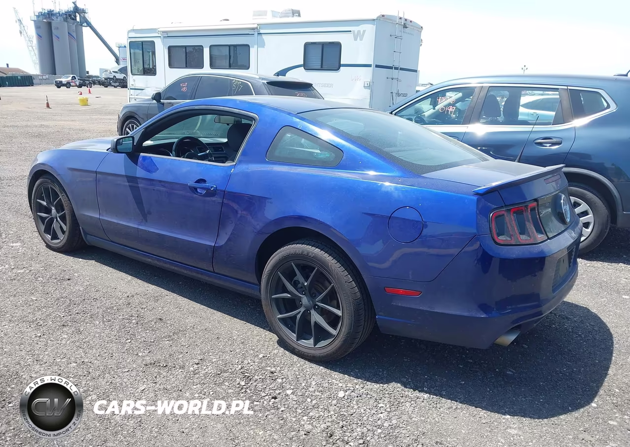 2014 Ford Mustang V6 VIN:1ZVBP8AM0E5319779 - 3