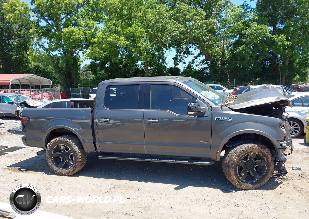 2016 Ford F-150 Xlt VIN:1FTEW1CP1GKF79596 - 13