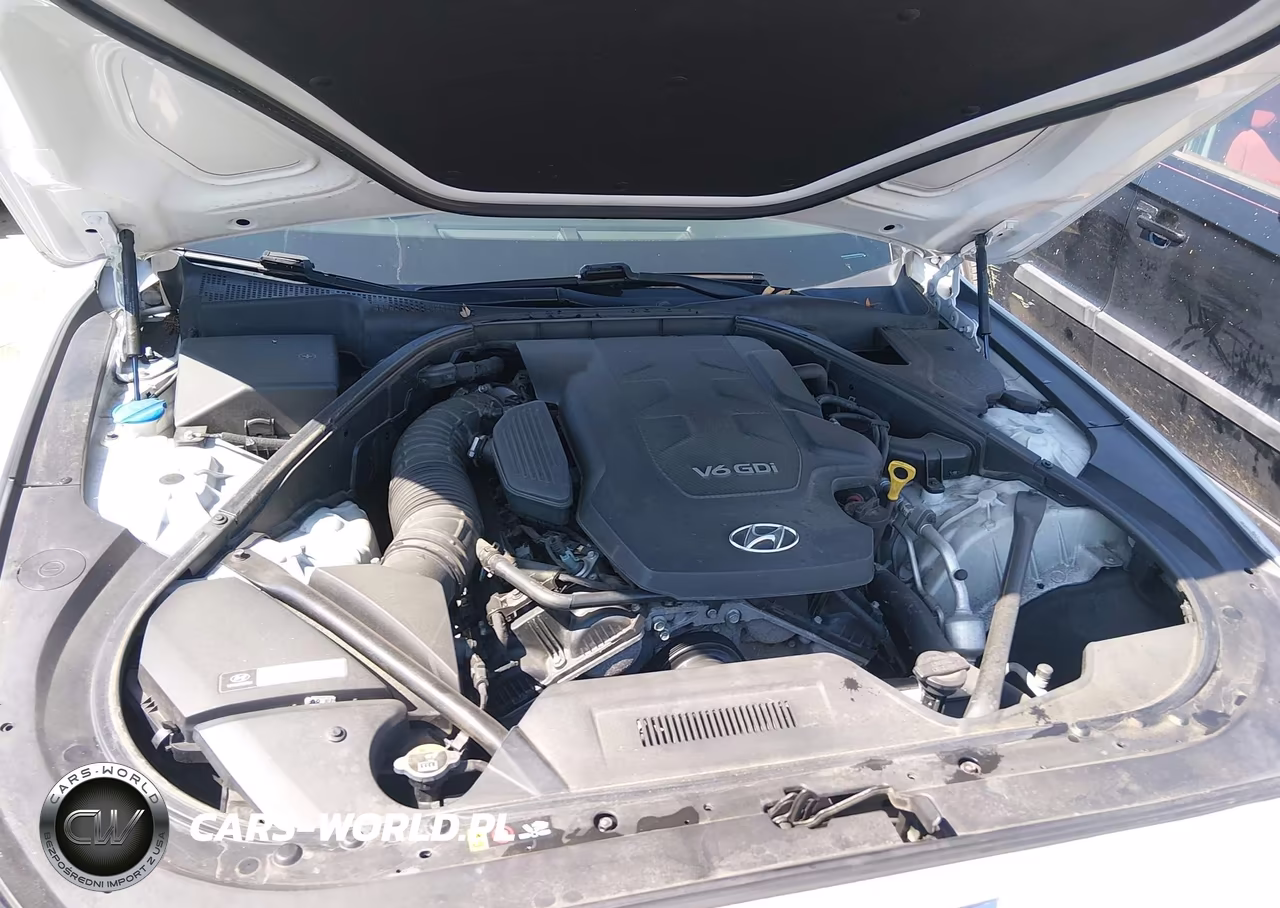 2016 Hyundai Genesis 3.8 VIN:KMHGN4JE2GU119295 - 10