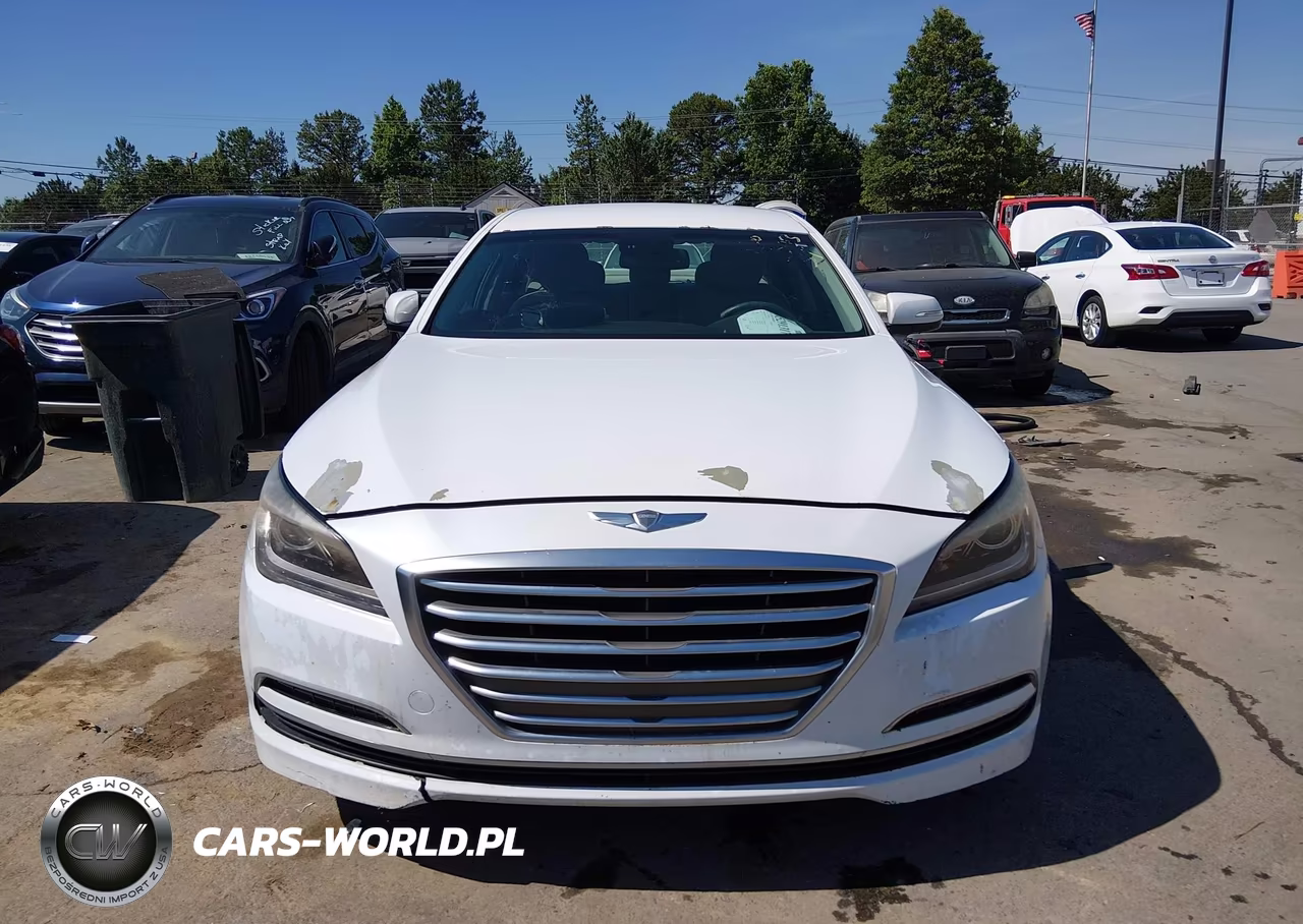 2016 Hyundai Genesis 3.8 VIN:KMHGN4JE2GU119295 - 12