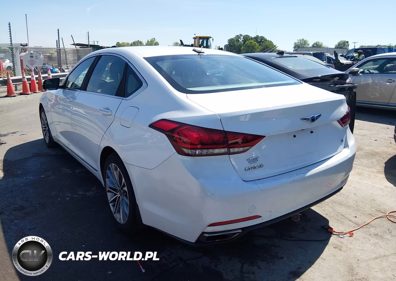 2016 Hyundai Genesis 3.8 VIN:KMHGN4JE2GU119295 - 3