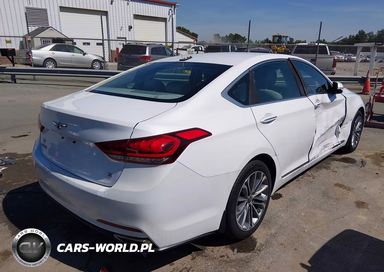 2016 Hyundai Genesis 3.8 VIN:KMHGN4JE2GU119295 - 4