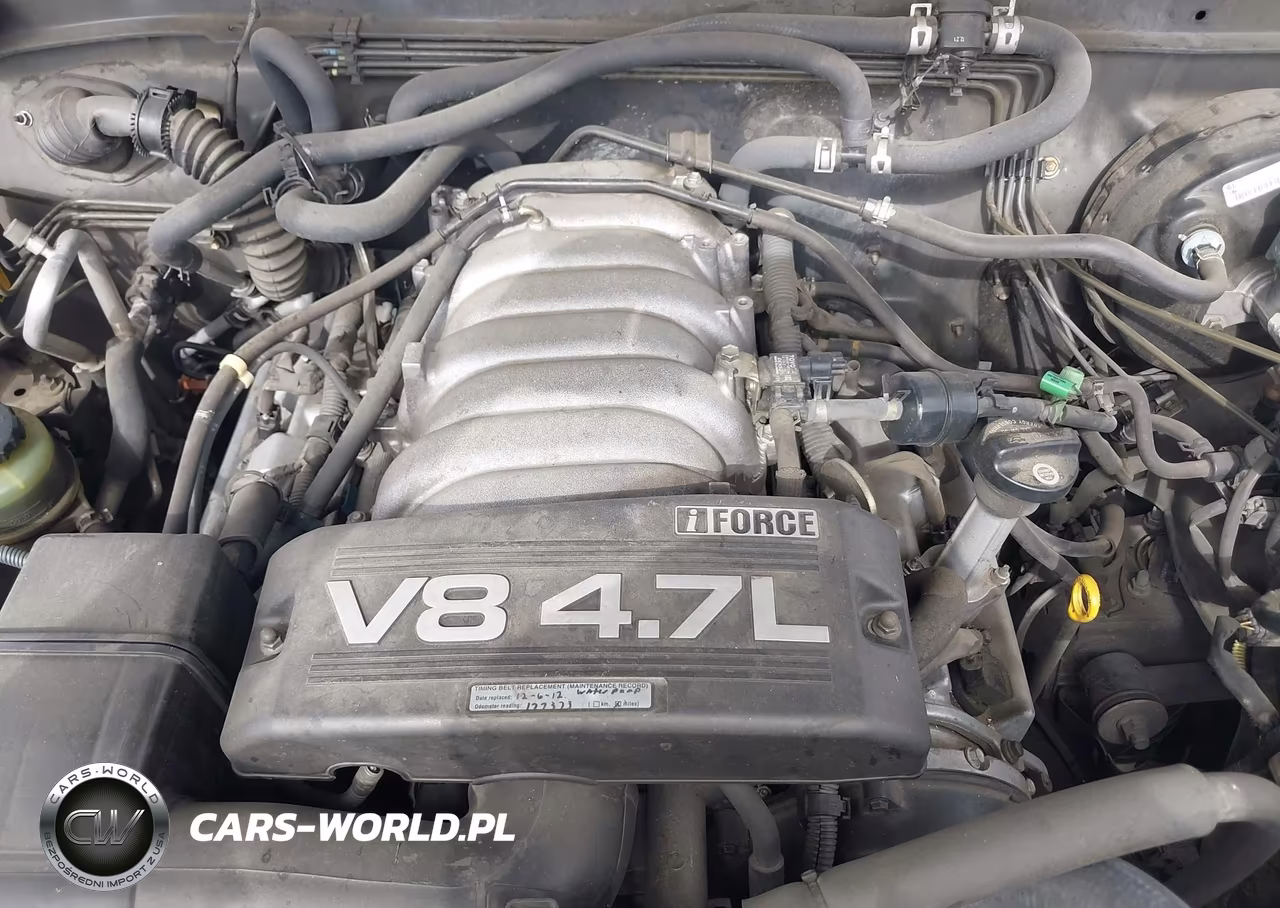 2004 Toyota Sequoia Limited V8 VIN:5TDZT38A54S238068 - 10