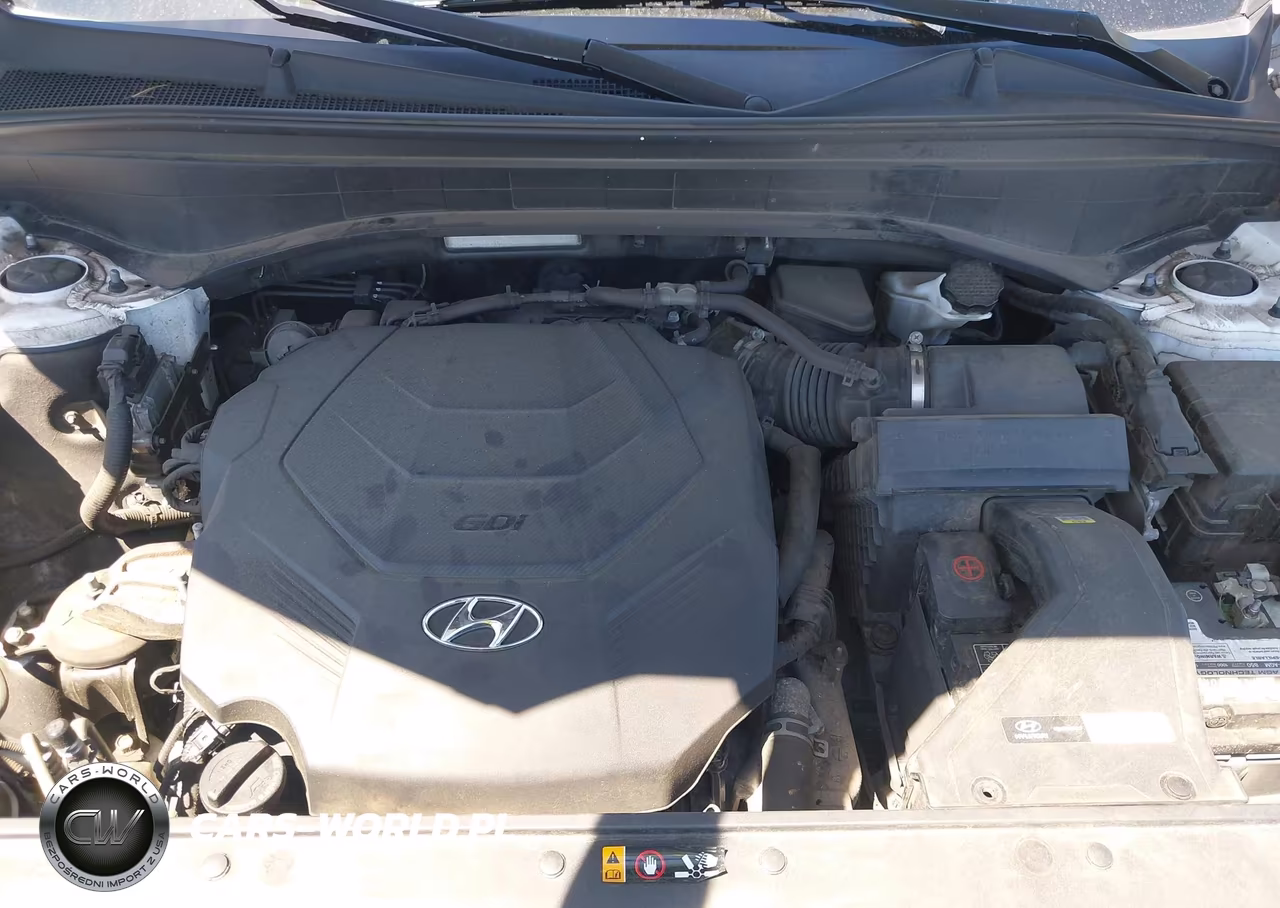 2021 Hyundai Palisade Calligraphy VIN:KM8R7DHE4MU264259 - 10