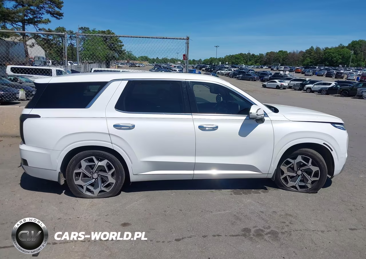 2021 Hyundai Palisade Calligraphy VIN:KM8R7DHE4MU264259 - 13