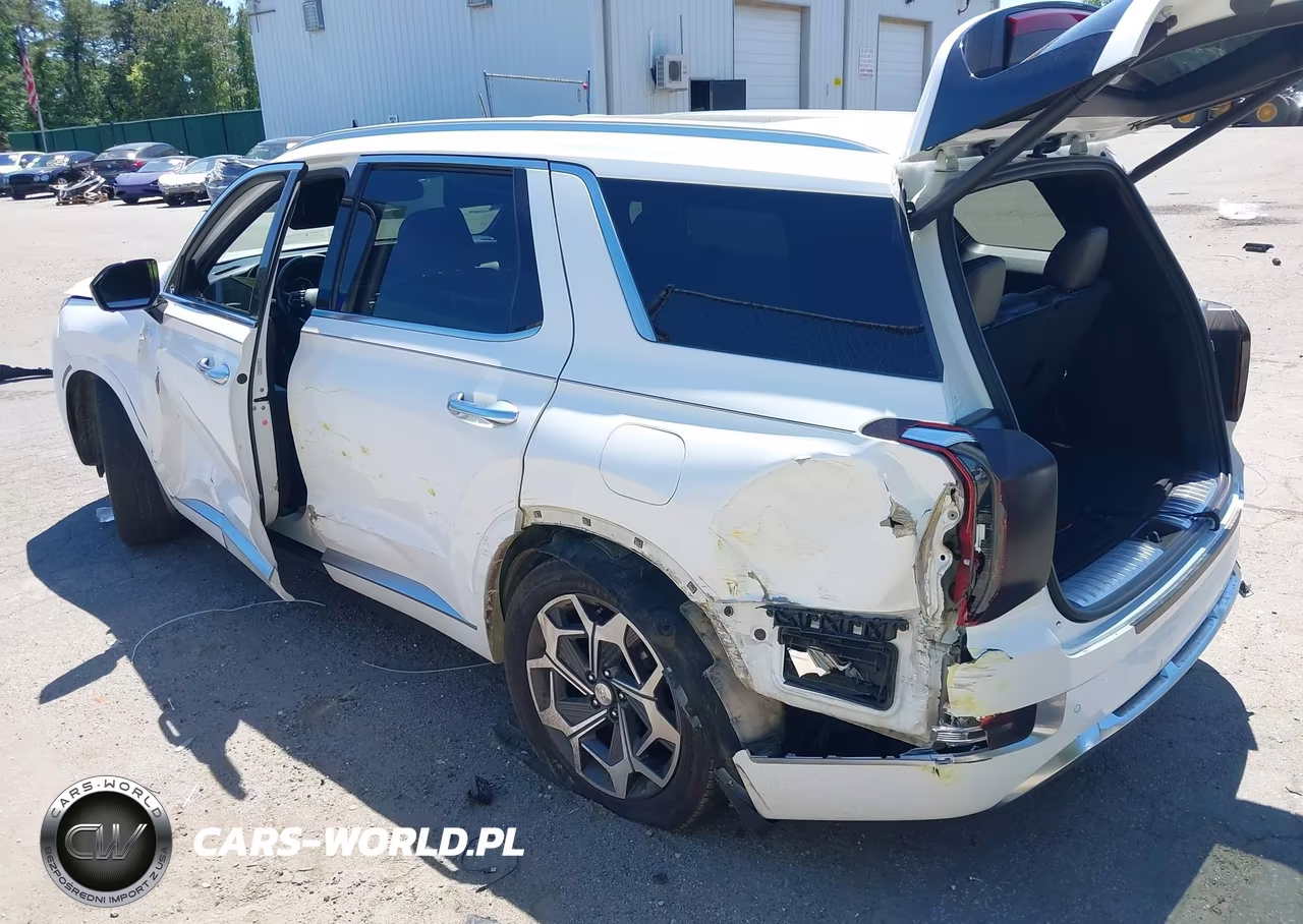2021 Hyundai Palisade Calligraphy VIN:KM8R7DHE4MU264259 - 3