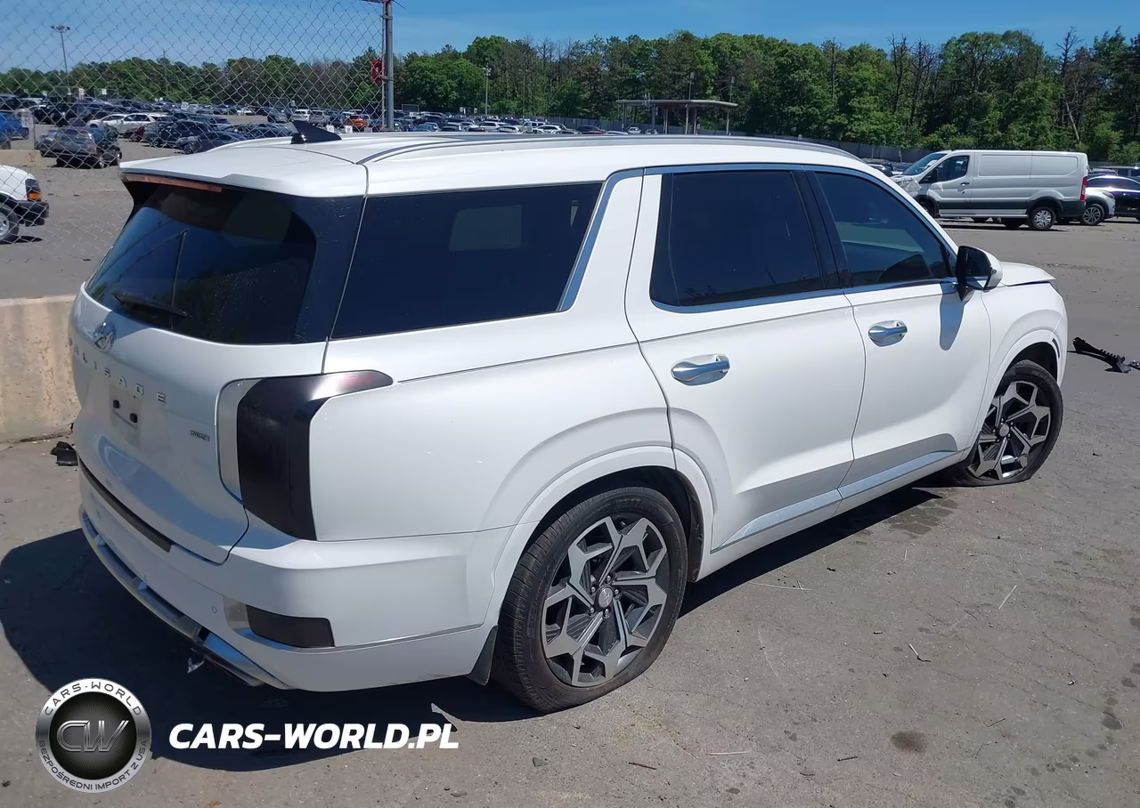 2021 Hyundai Palisade Calligraphy VIN:KM8R7DHE4MU264259 - 4