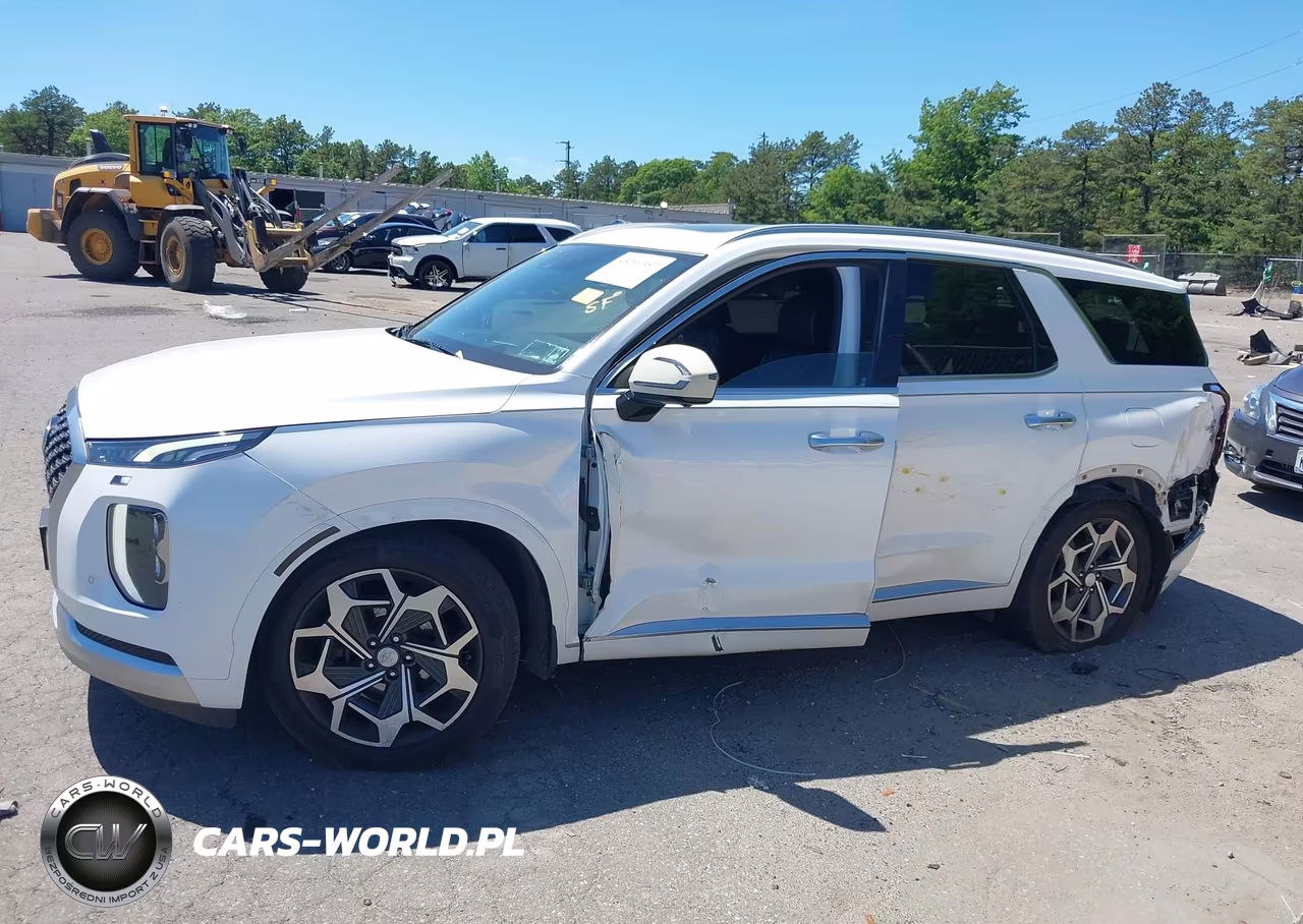 2021 Hyundai Palisade Calligraphy VIN:KM8R7DHE4MU264259 - 6