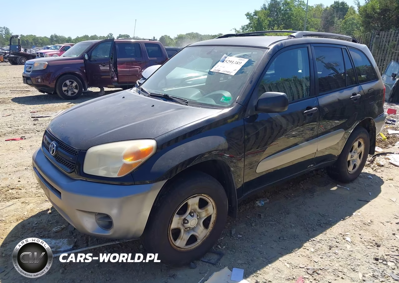 2004 Toyota Rav4 VIN:JTEHD20V646021738 - 2