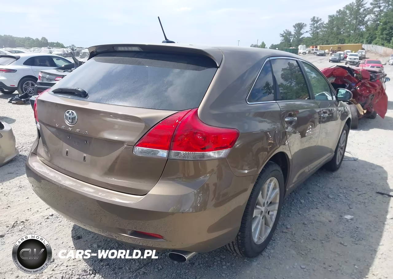 2009 Toyota Venza VIN:4T3ZE11A19U008963 - 4