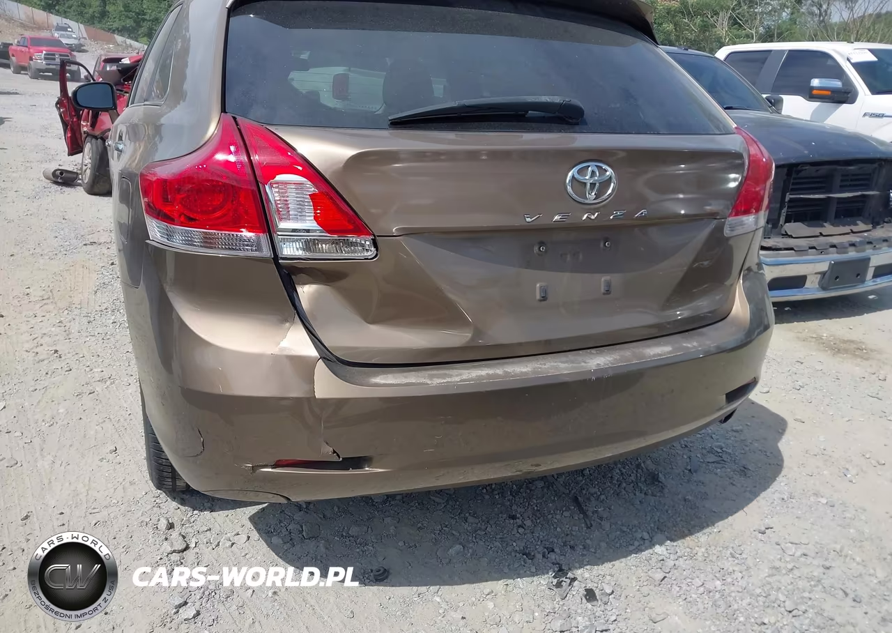 2009 Toyota Venza VIN:4T3ZE11A19U008963 - 6