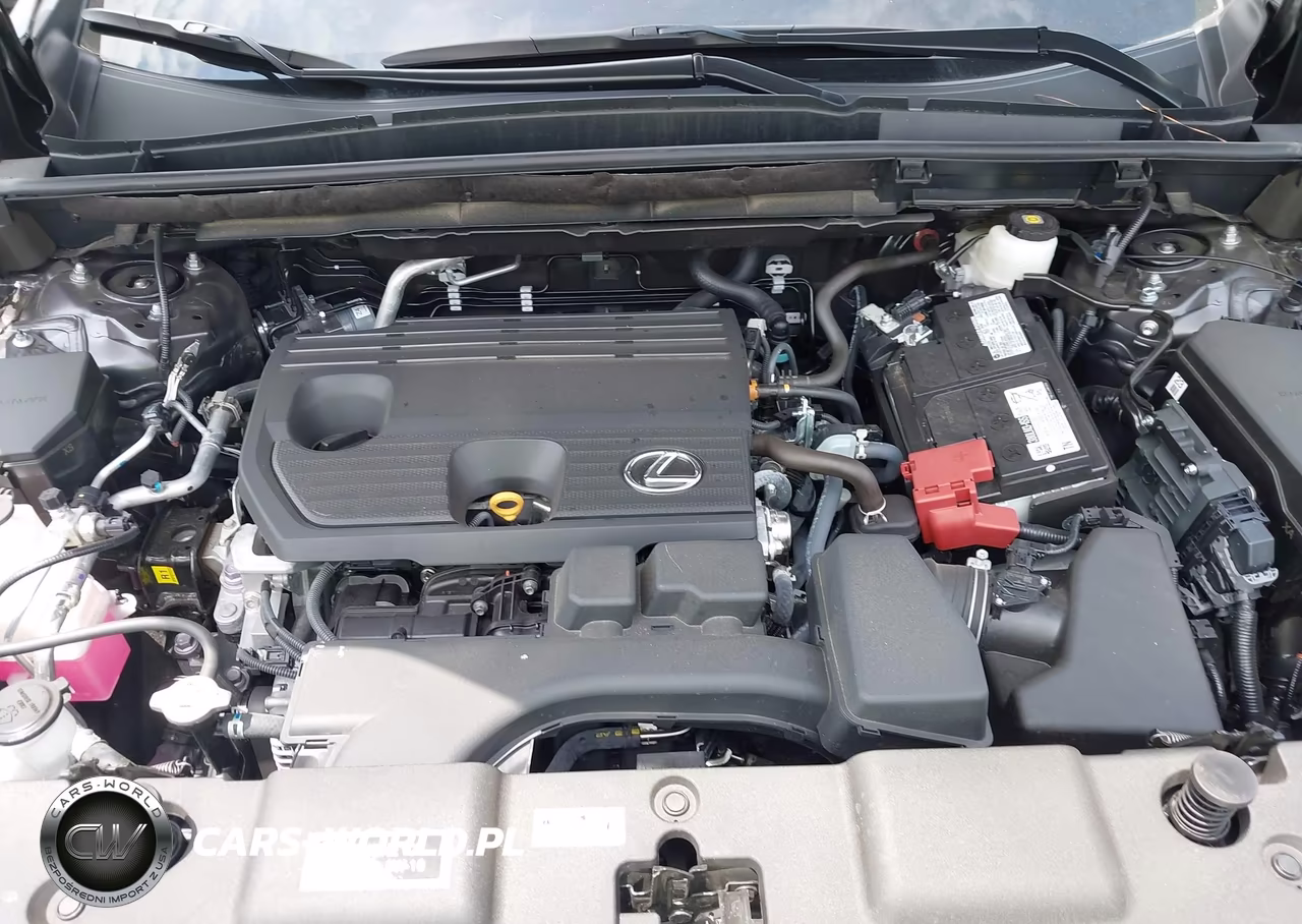2025 Lexus Nx 250 Premium VIN:2T2GDCAZ9SC028580 - 10