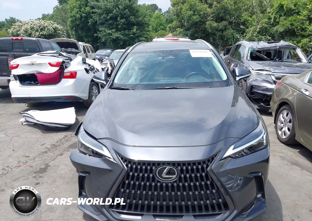 2025 Lexus Nx 250 Premium VIN:2T2GDCAZ9SC028580 - 12