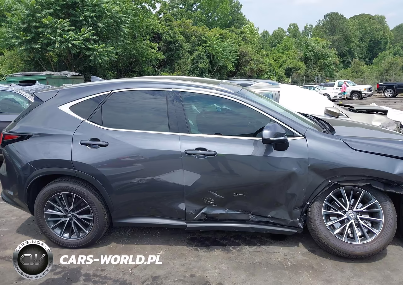 2025 Lexus Nx 250 Premium VIN:2T2GDCAZ9SC028580 - 13