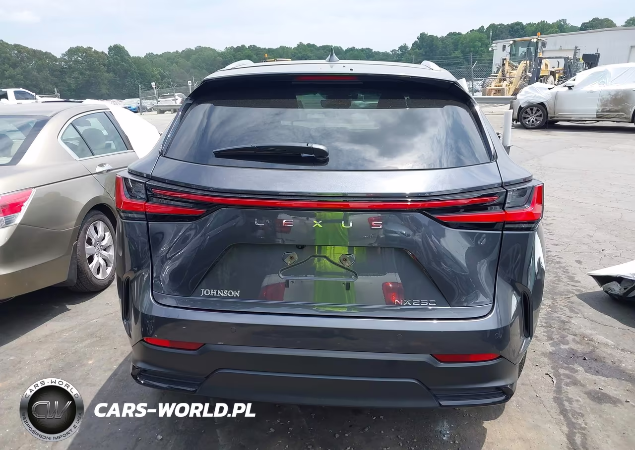 2025 Lexus Nx 250 Premium VIN:2T2GDCAZ9SC028580 - 16