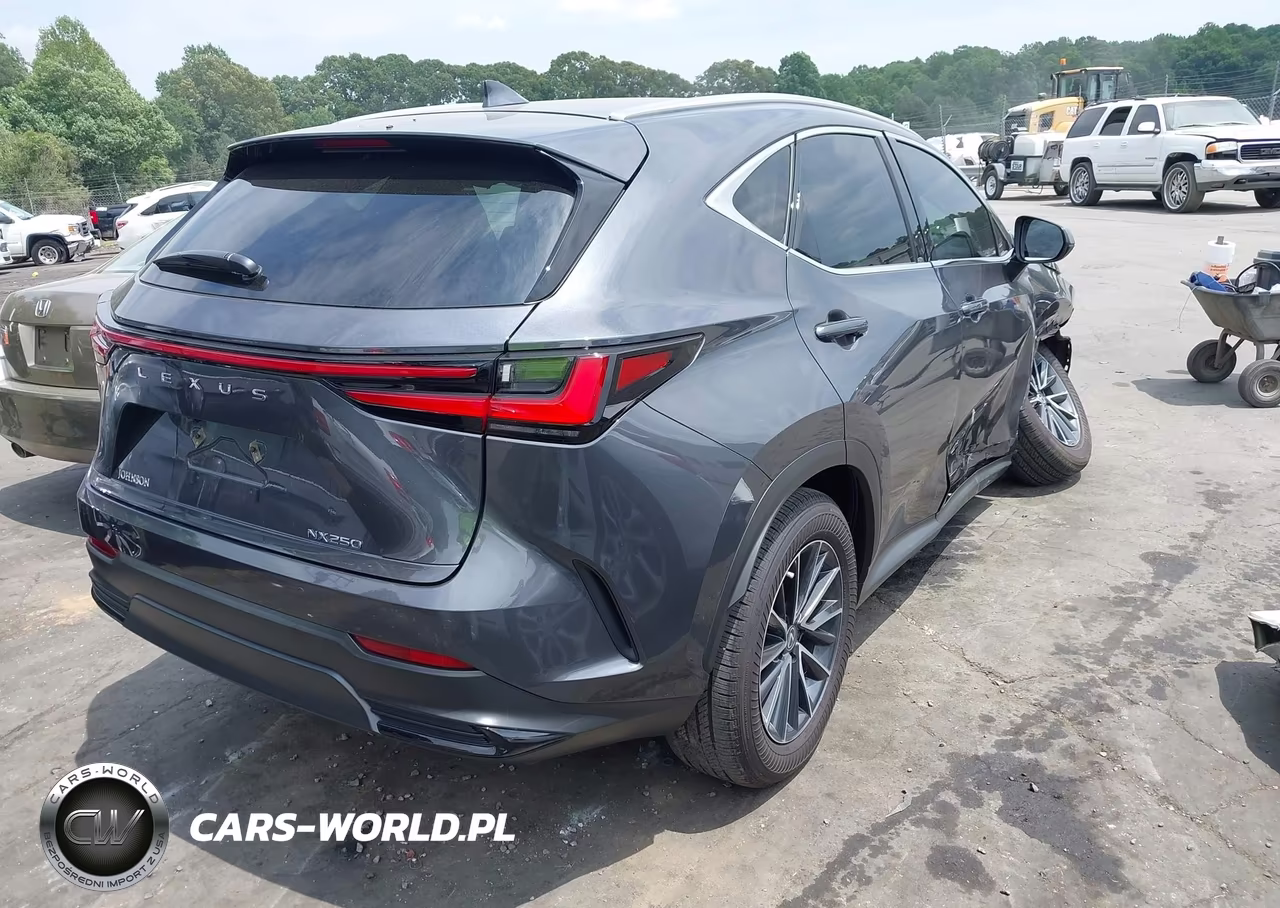 2025 Lexus Nx 250 Premium VIN:2T2GDCAZ9SC028580 - 4