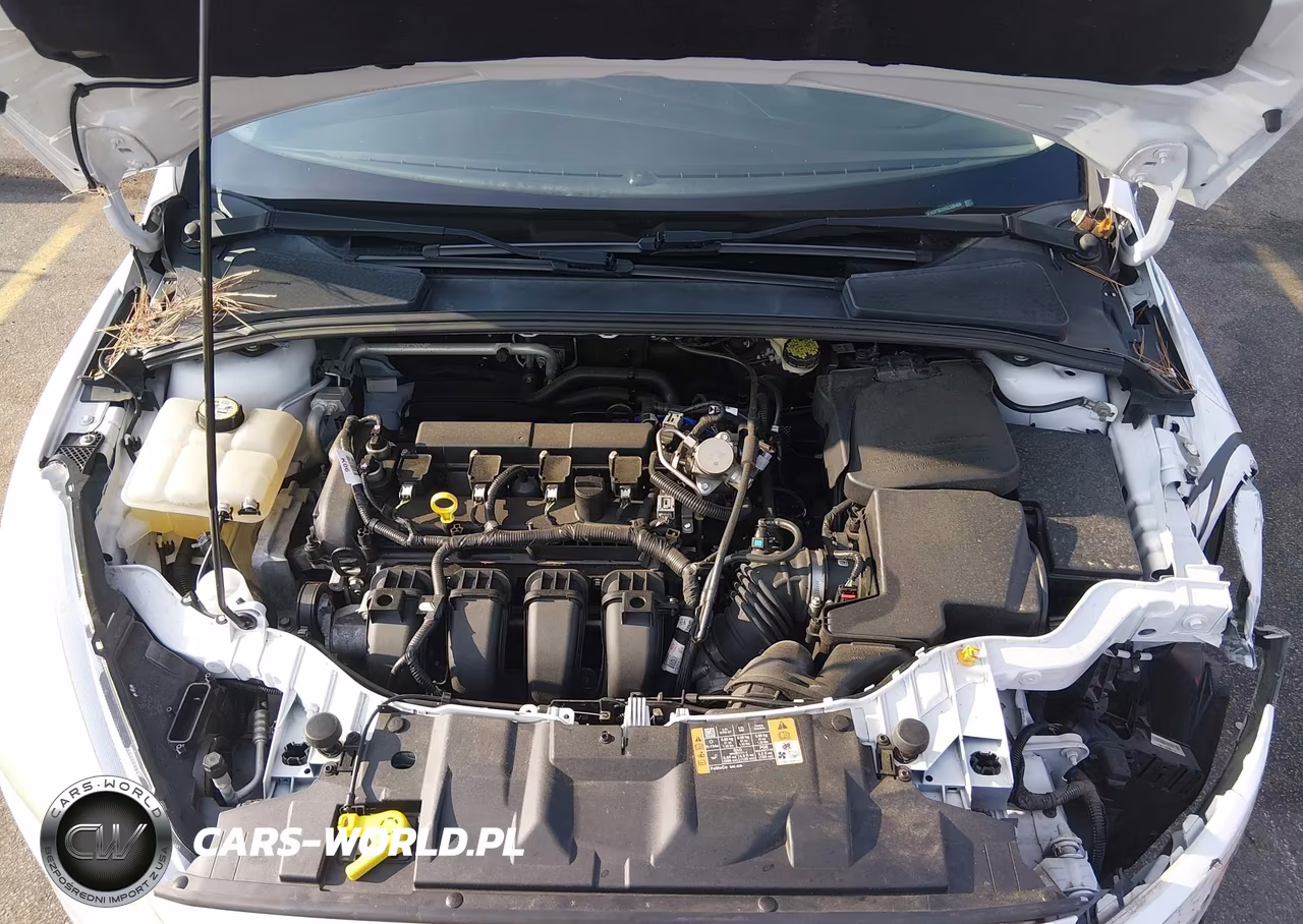 2016 Ford Focus S VIN:1FADP3E20GL339459 - 10
