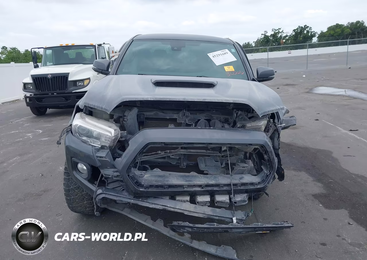2020 Toyota Tacoma Trd Sport VIN:3TMCZ5AN9LM355258 - 12