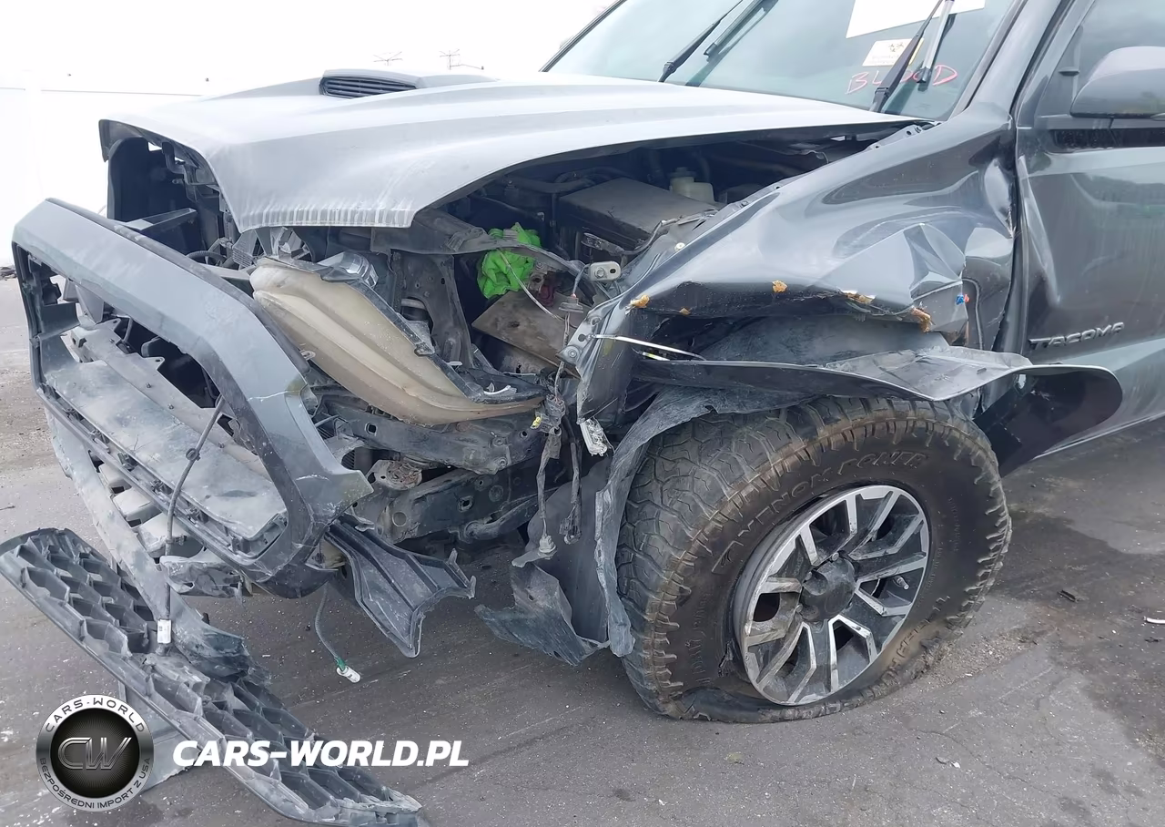 2020 Toyota Tacoma Trd Sport VIN:3TMCZ5AN9LM355258 - 6