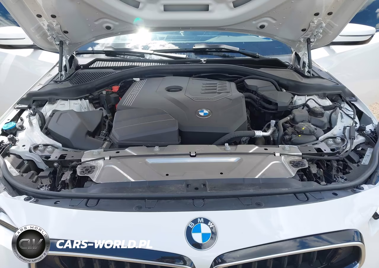 2025 BMW 230I xDrive VIN:3MW33CM08S8F66090 - 10