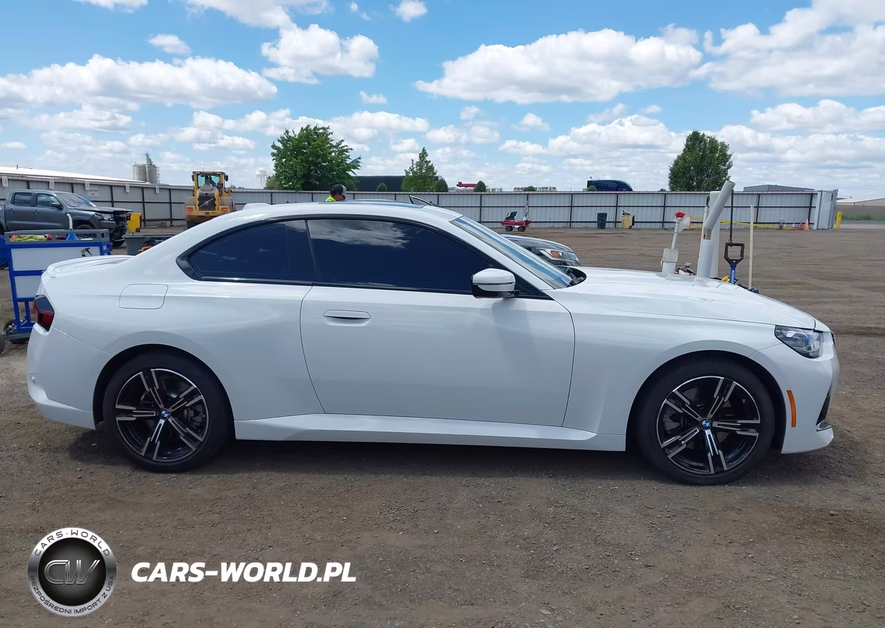 2025 BMW 230I xDrive VIN:3MW33CM08S8F66090 - 13