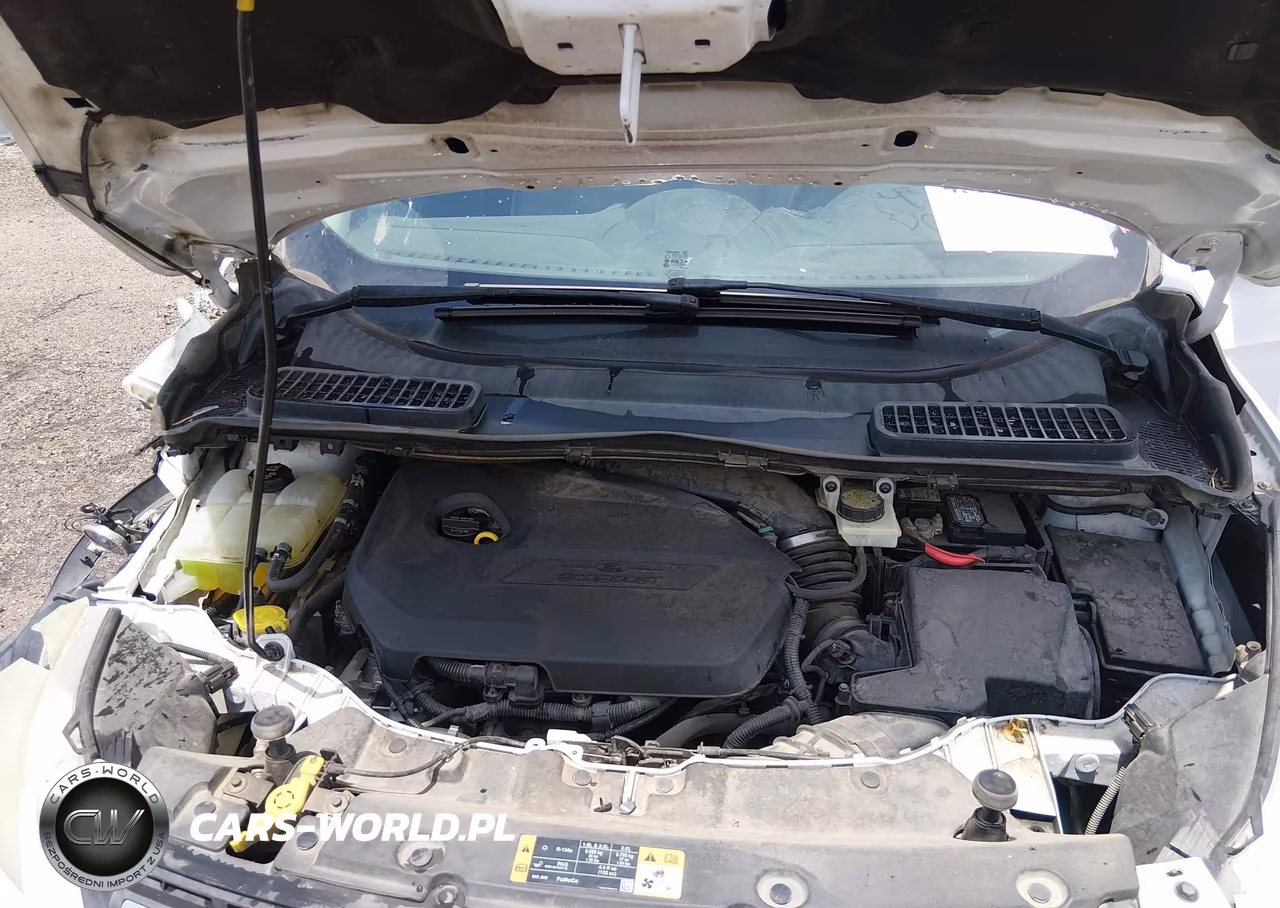 2014 Ford Escape Se VIN:1FMCU9GX2EUB09466 - 10