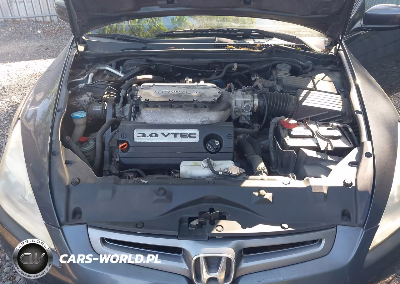 2005 Honda Accord 3.0 Ex VIN:1HGCM66525A049646 - 10