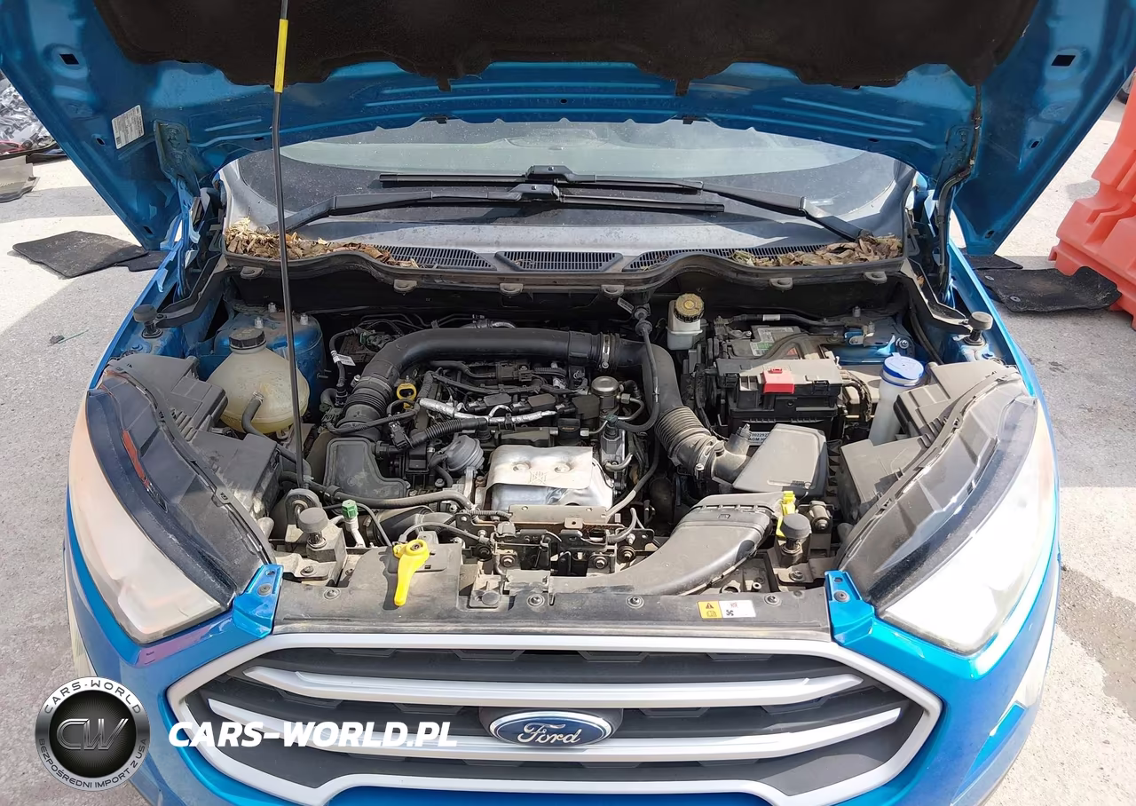 2018 Ford Ecosport Se VIN:MAJ3P1TE3JC225590 - 10