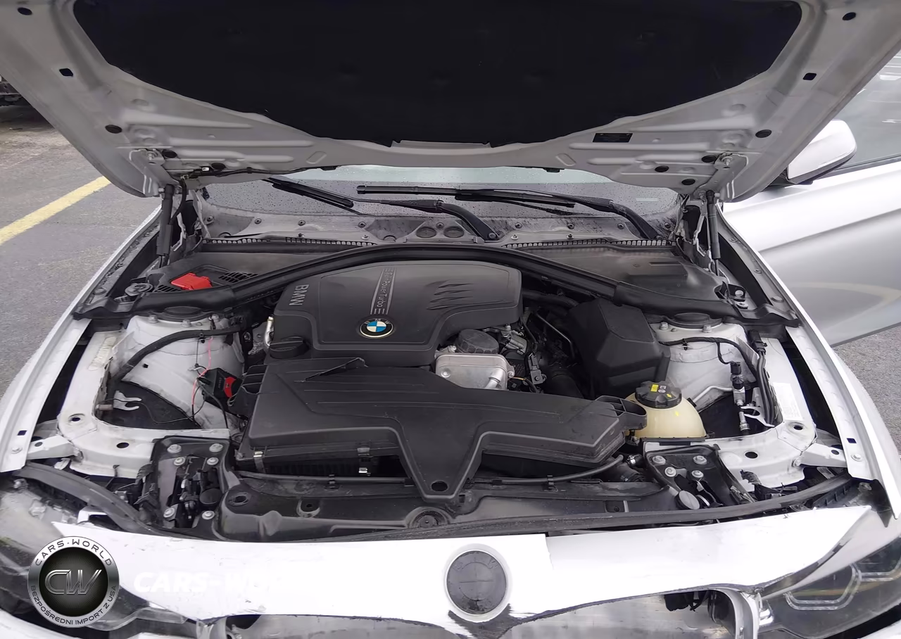 2015 BMW 320I VIN:WBA3B1G55FNT64616 - 10