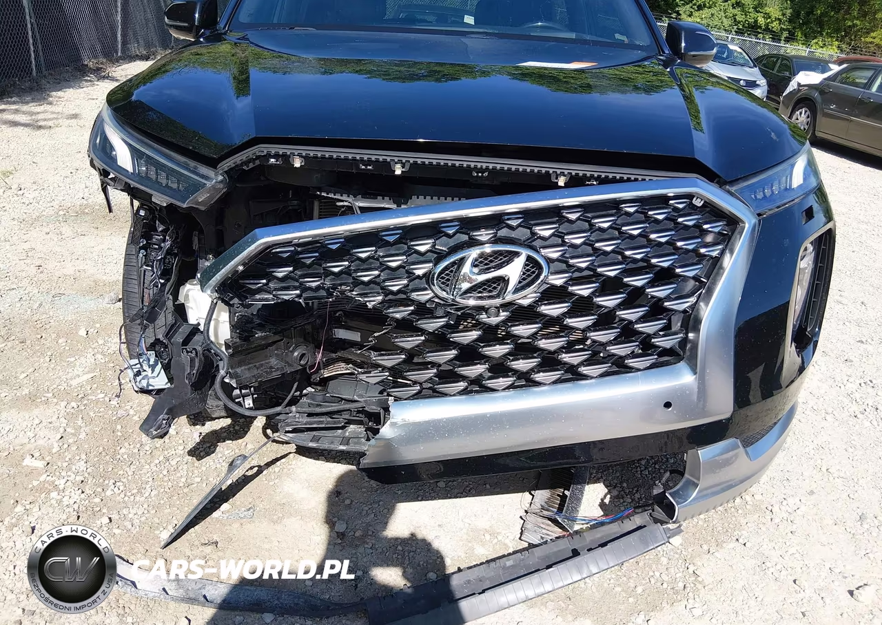 2021 Hyundai Palisade Calligraphy VIN:KM8R7DHE6MU195073 - 18