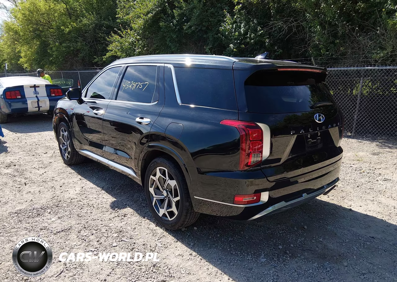 2021 Hyundai Palisade Calligraphy VIN:KM8R7DHE6MU195073 - 3