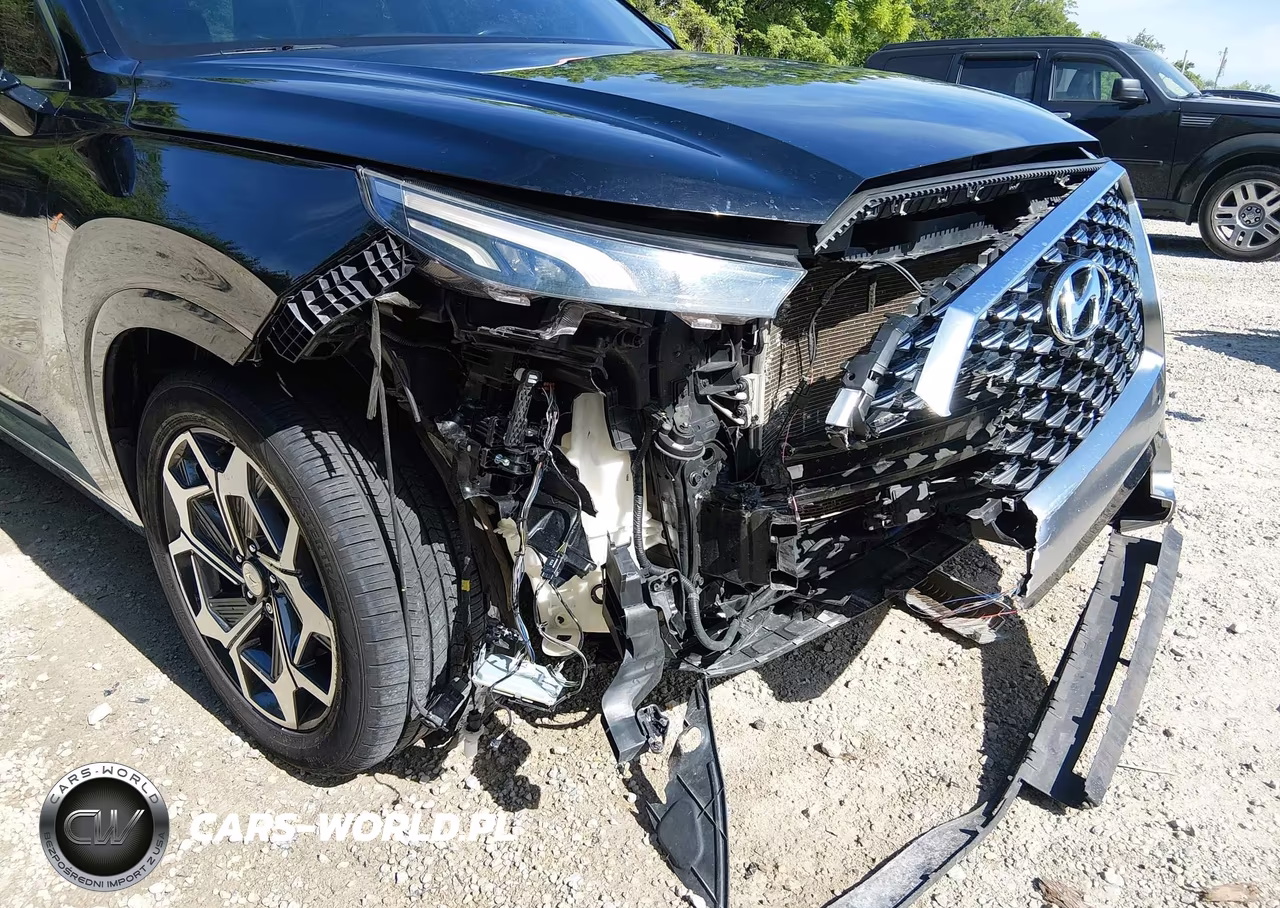 2021 Hyundai Palisade Calligraphy VIN:KM8R7DHE6MU195073 - 6