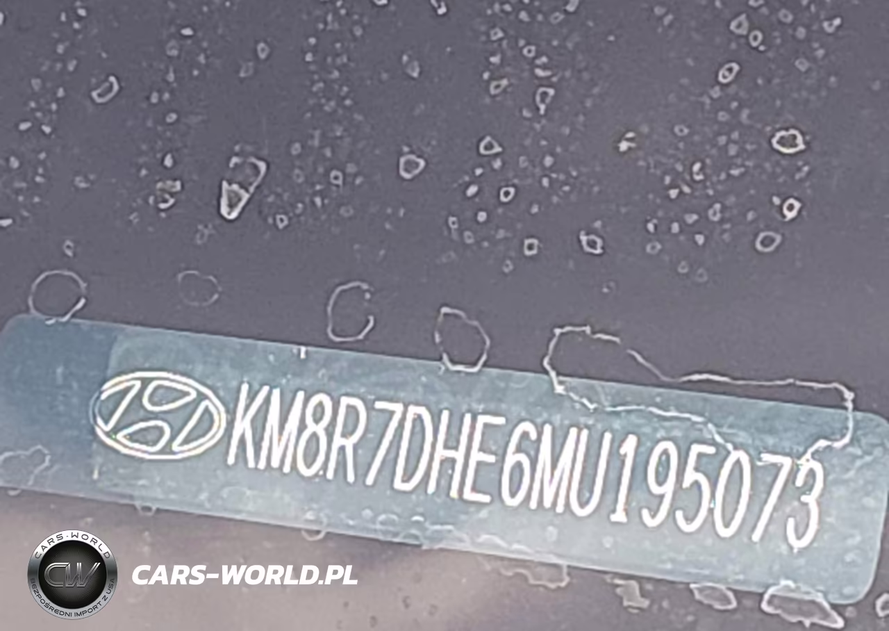 2021 Hyundai Palisade Calligraphy VIN:KM8R7DHE6MU195073 - 9