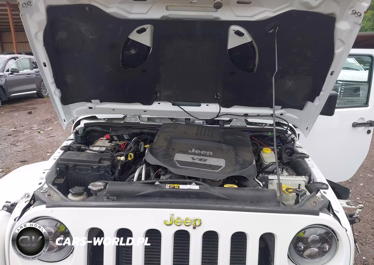 2016 Jeep Wrangler Unlimited Rubicon VIN:1C4BJWFG5GL135352 - 10