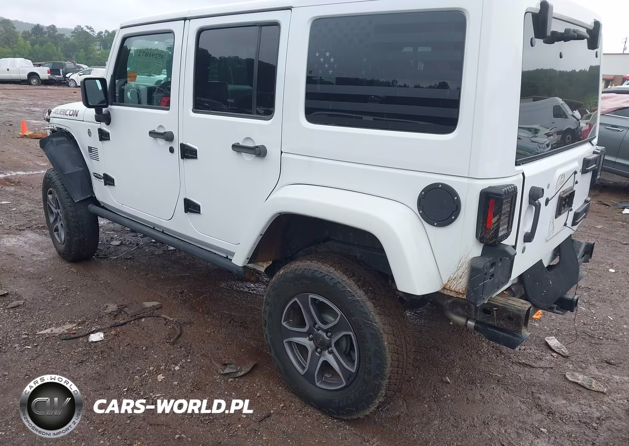 2016 Jeep Wrangler Unlimited Rubicon VIN:1C4BJWFG5GL135352 - 3